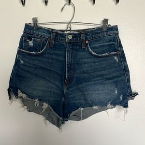 Abercrombie and Fitch Curve Love High Rise Mom Short